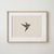 Cuadro Colibri