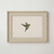 Cuadro Colibri en internet