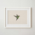 Cuadro Colibri - tienda online
