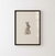Cuadro Conejo I - comprar online