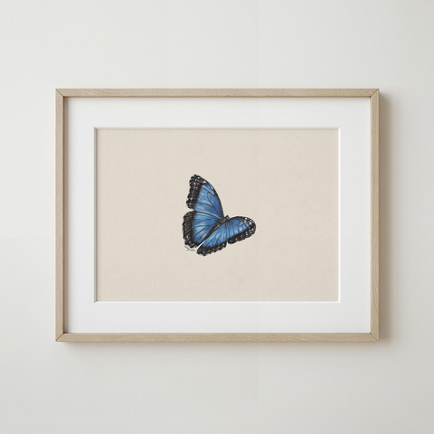 Cuadro Mariposa Morpho