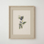 Cuadro Moras - comprar online