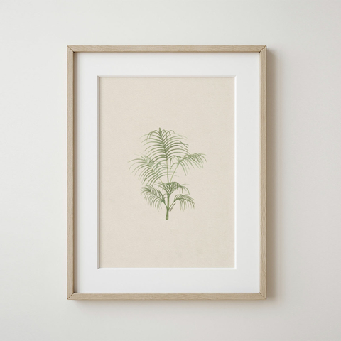 Cuadro Palmera Areca