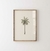 Cuadro Palmera Coco - comprar online