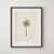 Cuadro Palmera Coco - comprar online