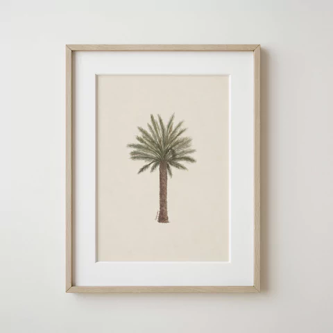Cuadro Palmera Datilera
