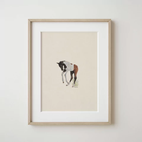 Cuadro Potrillo Tobiano