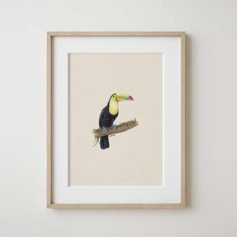 Cuadro Tucan Arco Iris