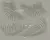 Decal Hojas Palmera Verdes - comprar online