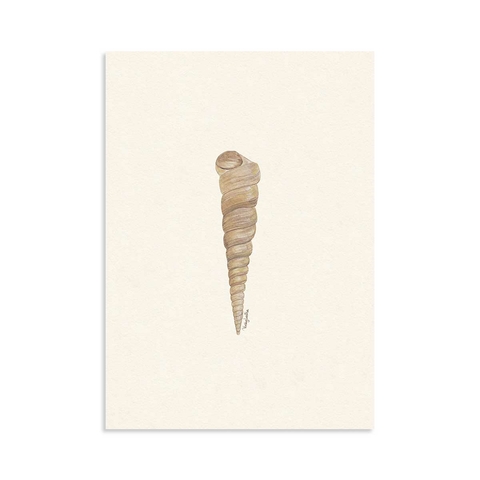 Lamina Caracol Torre