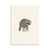 Lamina Mapache I