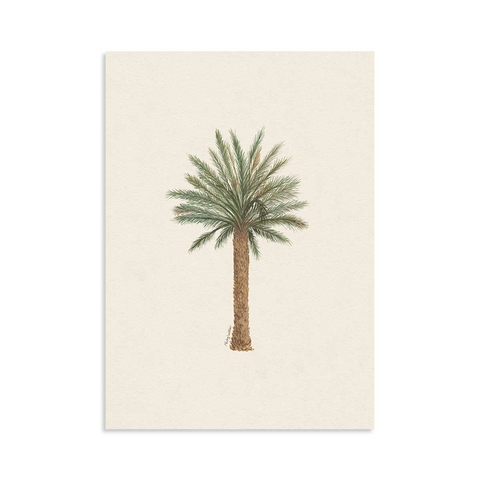 Lamina Palmera Datilera