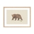 Cuadro Oso Pardo Caminando - comprar online