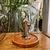 Redoma de Vidro com Base Em Madeira 20cm - comprar online