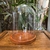 Redoma de Vidro com Base Em Madeira 20cm - loja online