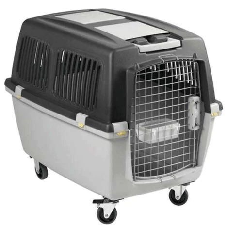 Caixa de Transporte Chalesco - comprar online