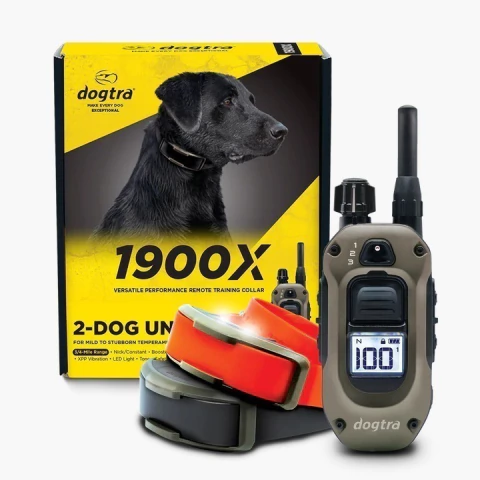 DOGTRA 1900X DOIS RECEPTORES