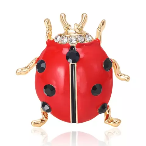 Broche Joaninha