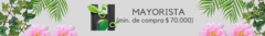 Banner de la categoría Mayorista