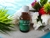 Aceite De Menta De Cultivo Organico 30 Mlm