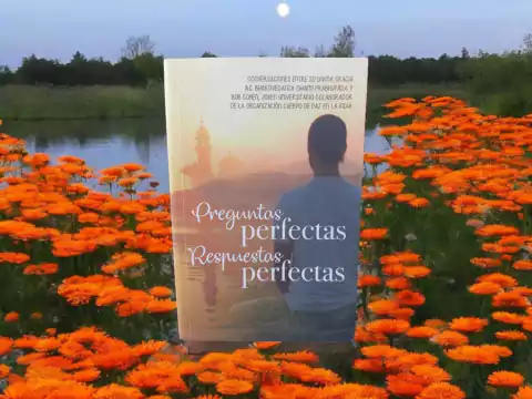 Libro físico preguntas perfectas respuestas perfectas x 1