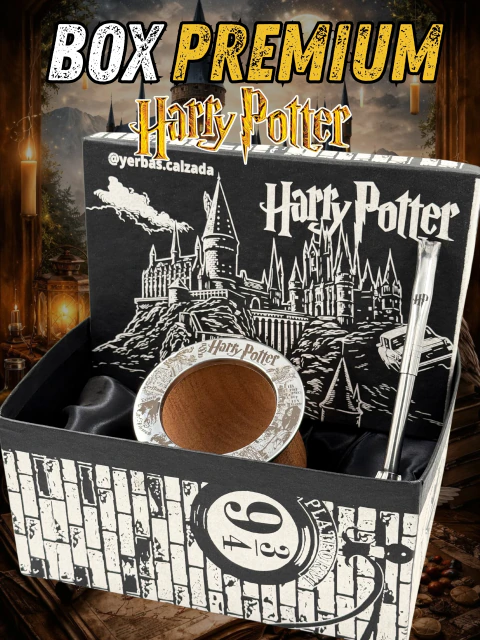 BOX PREMIUM con mate "HARRY POTTER"