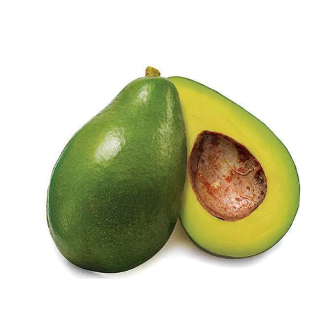 MUDA DE ABACATE MANTEGA (sementes)