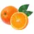 MUDA DE LARANJA BAHIA (ENXERTO)