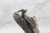 [YEEZY BOOST 700 V2 TEPHRA - Teixeira Store