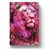 Bíblia Youversion Leão Rosa - Bíblia Interativa Ntlh QrCode