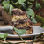 / NAKED BROWNIE BRANCO, BRIGADEIRO E COOKIES na internet