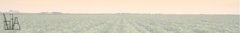 Banner da categoria Laboratório 