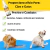 Spray 100% Natural Antifúngico Herbal para peles e pelos Caes e gatos - Petfleur