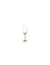 CAJA X6 COPA CHAMPAGNE LARA 220 ML CRISTAL BOHEMIA BTX8 - Casa Estilo