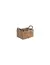 CESTA C/DIVISION