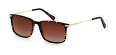 LENTES WESTBURY 3115 en internet