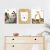 Quarto Safari placas decorativas