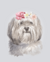 Quadro Cachorro Bobtail Pet flores