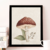 Quadro Cogumelo Boho na internet