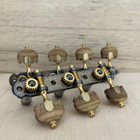 TARRAXA VIOLAO 7 M M2LTG PGB SED - E03 - TEN Pau Rainha