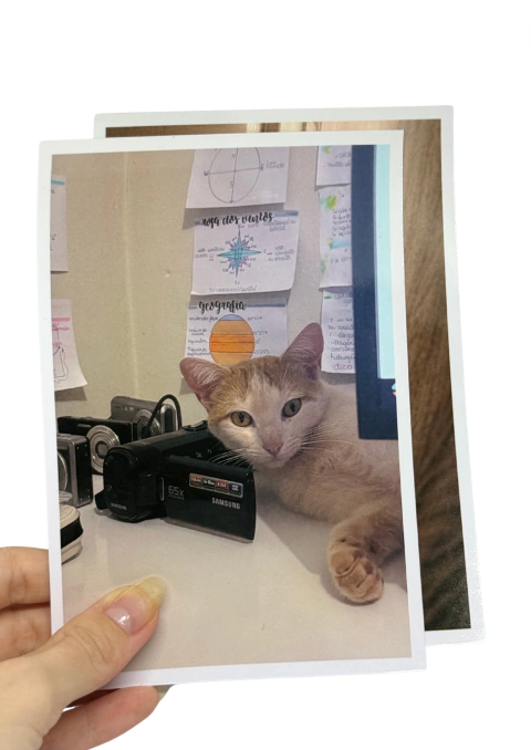 foto square 10x15 - comprar online