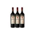 PATRON SANTIAGO GRAN RESERVA 2013 X3 - comprar online