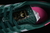 Imagem do Ad Originals Gazelle Indoor Green