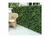 Jardín Vertical - INTERIOR