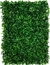 Jardín Vertical - INTERIOR en internet