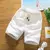Shorts de verão