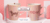 Imagem do banner rotativo GAOW Pet Style | Dachshunds 