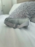 Imagen de RelaxVision
