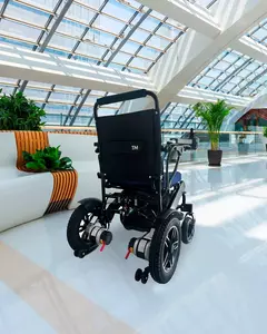 Cadeira de Rodas Motorizada TheraRider Plus - Amplie seus horizontes e liberdade na internet