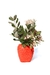 Frutilla grande - tienda online